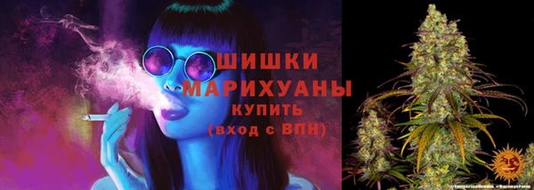 твердый Майский