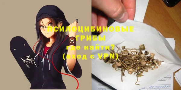 скорость Медвежьегорск