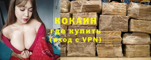 твердый Майский