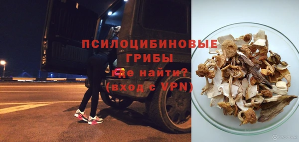 сатива Мегион