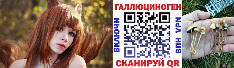 даркнет сайт  Цоци-Юрт  Псилоцибиновые грибы ЛСД 